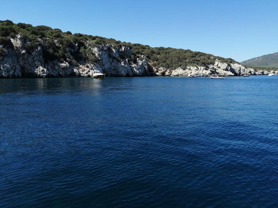 Palau Del Corso Apartment Alghero Ngoại thất bức ảnh