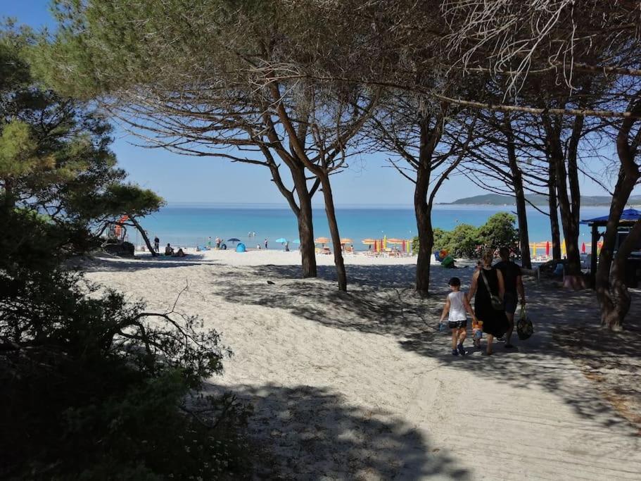 Palau Del Corso Apartment Alghero Ngoại thất bức ảnh